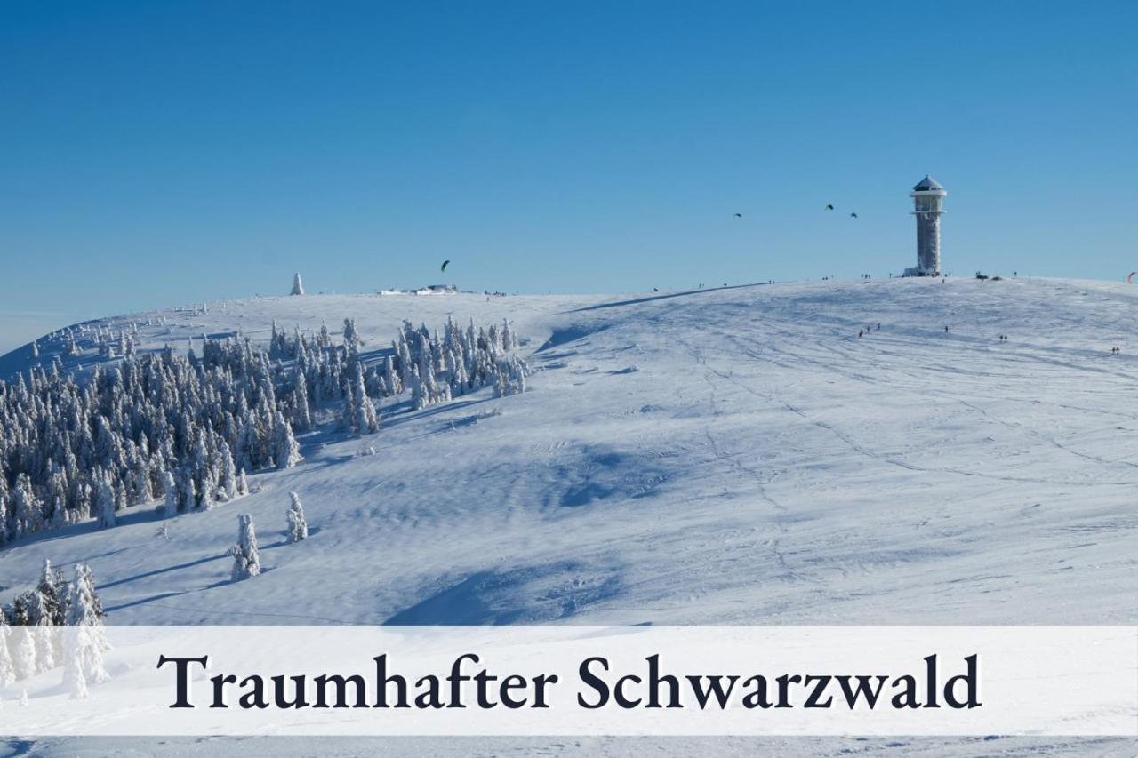 Swens Relax Pension - Inklusive Hochschwarzwaldkarte Und Halbpension Feldberg  Zewnętrze zdjęcie